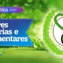 Cores Primárias e Complementares