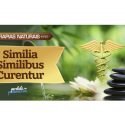 Similia Similibus Curentur