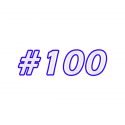 #100 – Resumão