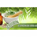 Herbarium – Espada de São Jorge