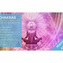 Chakras: Diagnóstico & Harmonia