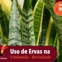 Papo na Encruza 104 – O Uso de Ervas Na Umbanda Revisitado