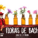 Papo na Encruza 56 – Florais de Bach