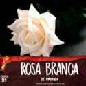 Papo na Encruza 91 – Vertentes: Rosa Branca de Umbanda