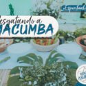 Resgatando a Macumba