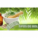 Herbarium – Tipos de Boldo