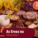 Papo na Encruza 161 – Ervas na Macumba