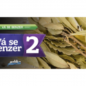 Vá se Benzer 02 – O Pote de Louro